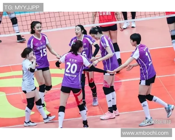 精彩对决排球直播上海队迎战江苏队全力争胜不容错过